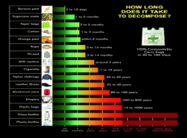 COMPOSTABLE ARE FASTER IN DECOMPOSING?