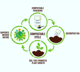  Compostable & Biodegradable Plastic?