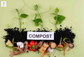  What is Compostable??