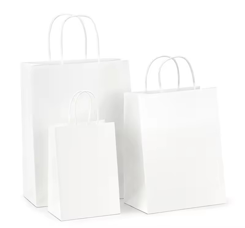 Customized Eco Twist Handle Paper Bag Shopping Bag