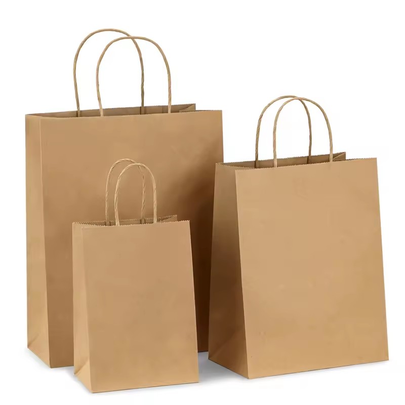 Customized Eco Twist Handle Paper Bag Shopping Bag