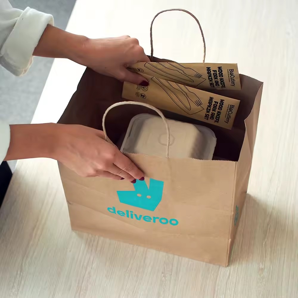 Customized Eco Twist Handle Paper Bag Shopping Bag