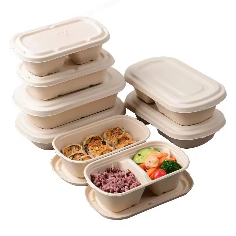 Why Use Biodegradable Lunch Boxes??