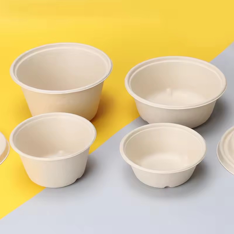 biodegradable tableware china.jpg