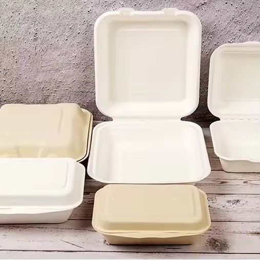 Custom Biodegradable Lunch Boxes