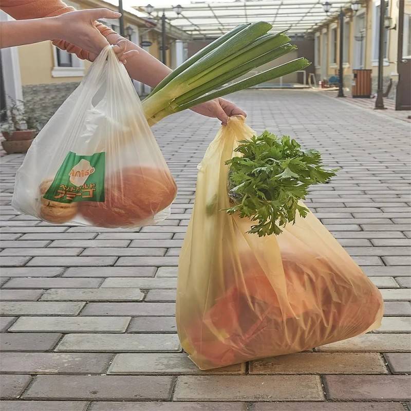 custom compostable shopping bags.jpg