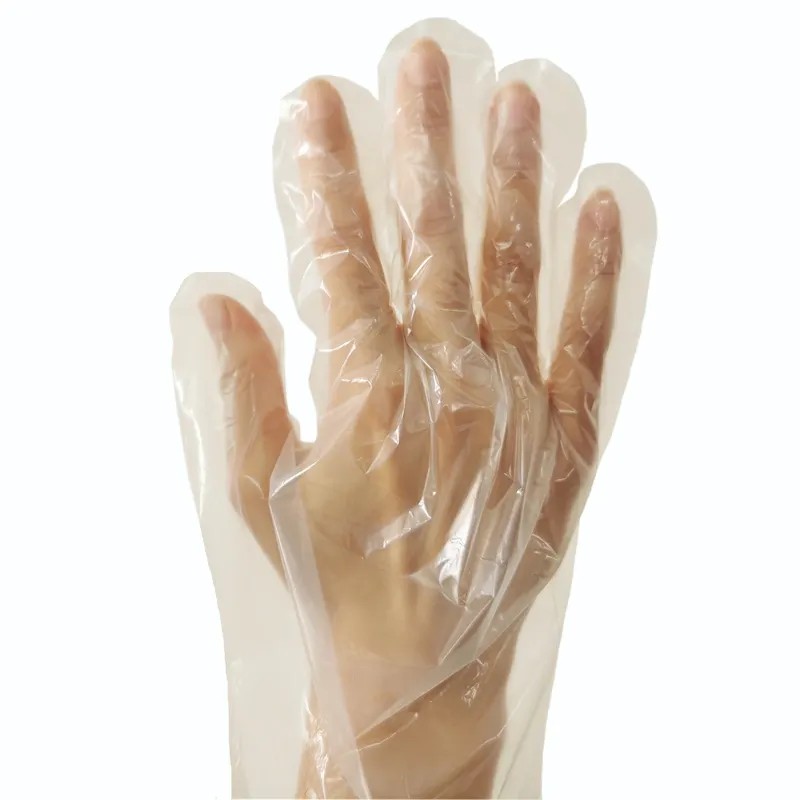 Clear Plastic Disposable Gloves Wholesalers