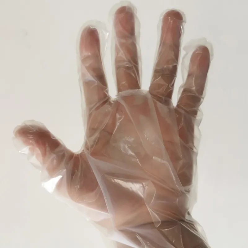 Clear Plastic Disposable Gloves Wholesalers