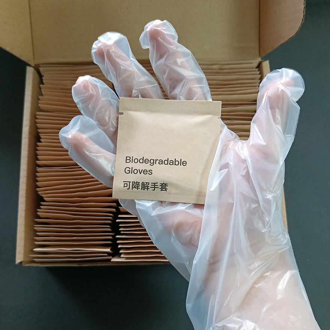 Biodegradable Independent Pack Gloves Supplier